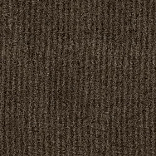 Grassland Espresso Needlebond Carpet Sample (Interior/Exterior)