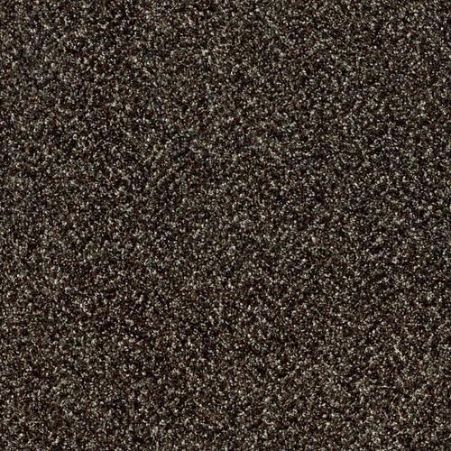 Shaw Wide Width Statuette I 12-ft- River Rock River Rock Textured Carpet Sample (Interior)
