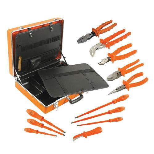 Jameson 12-Piece Household Tool Set with Hard Case