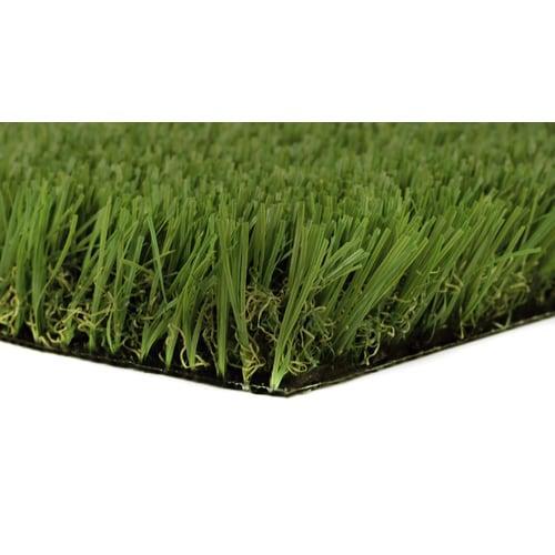 Everlast Tacoma Pro-ft W x Cut-to-Length Fescue Artificial Grass