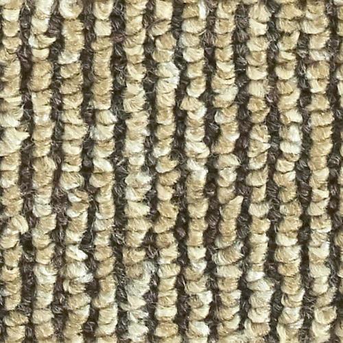 Sisal Coral Reef Berber/Loop Carpet Sample (Interior/Exterior)