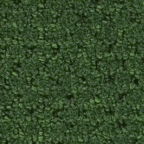 Sundance Forest Green Berber/Loop Carpet Sample (Interior/Exterior)