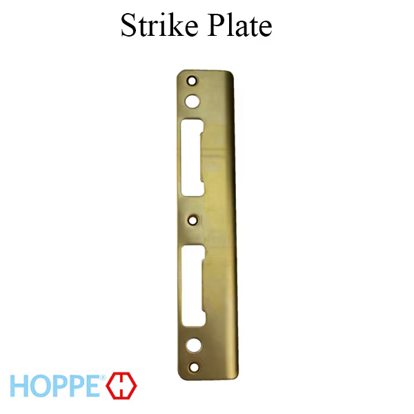 Polished Brass Latch & Deadbolt Strike 8787715