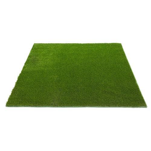 EnvyPet 10-ft x 10-ft Artificial Grass