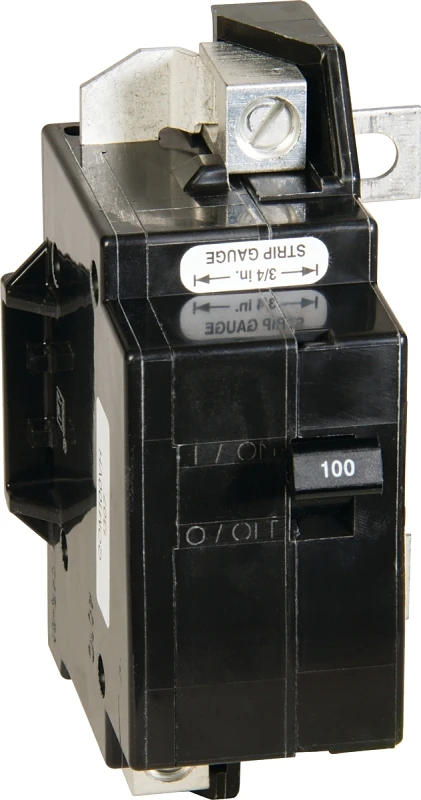 Qo 100 Amp Double Pole Main Enclosure Circuit Breaker