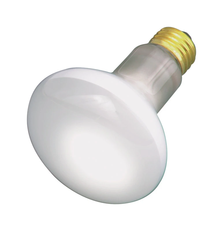30 Watts R20 Reflector Incandescent Bulb E26 (medium) Soft White 1 Pk