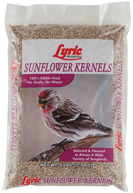 Sunflower Kernels Wild Bird Food, 5 Pounds Bag