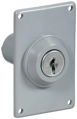 Garage Door Electric Key Switch, 1-5/8 X 2-1/2-in.